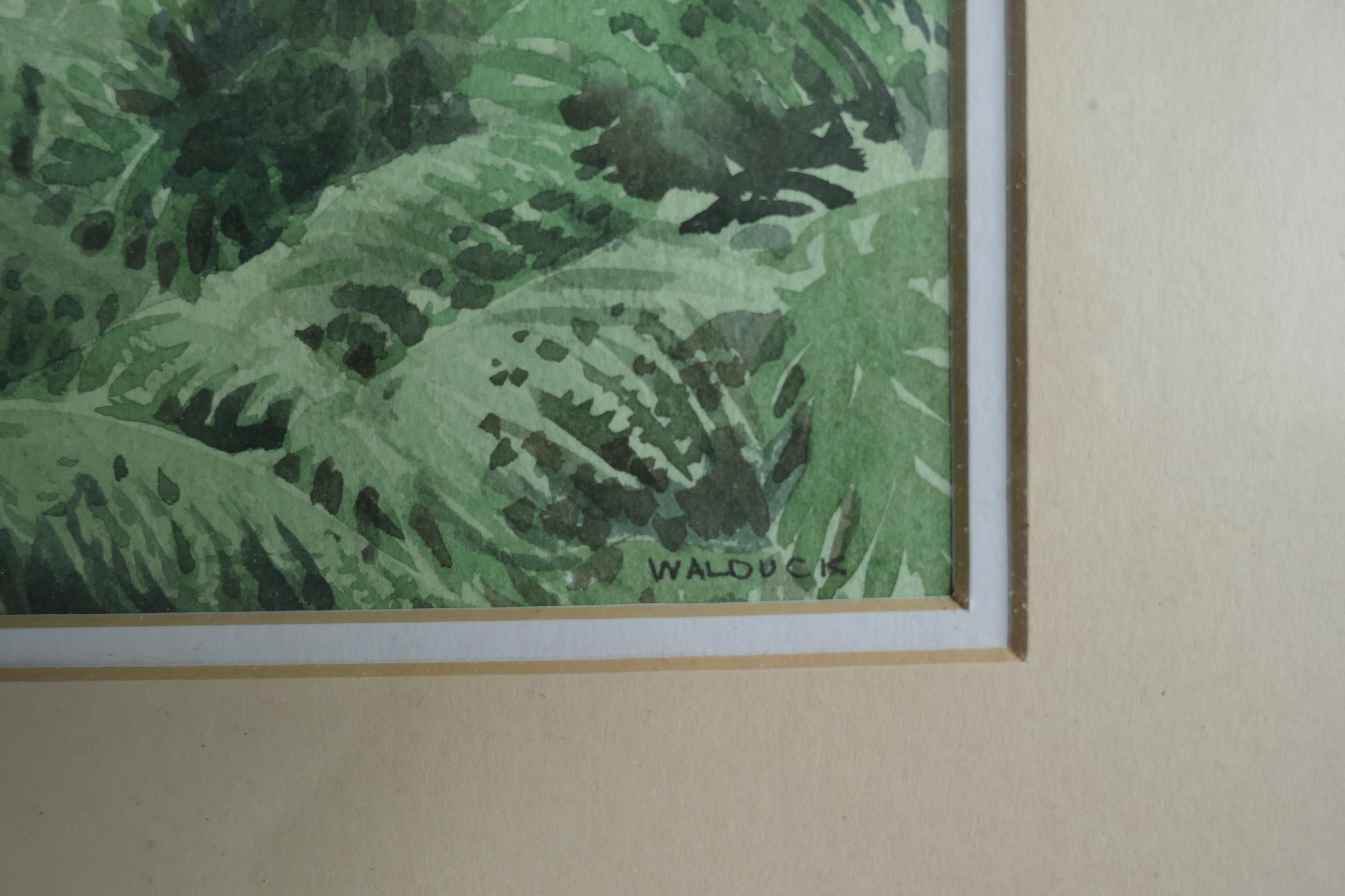  Framed and Glazed Ink and Watercolour by Desmond Walduck    In Good Condition For Sale In Chillerton, Isle of Wight