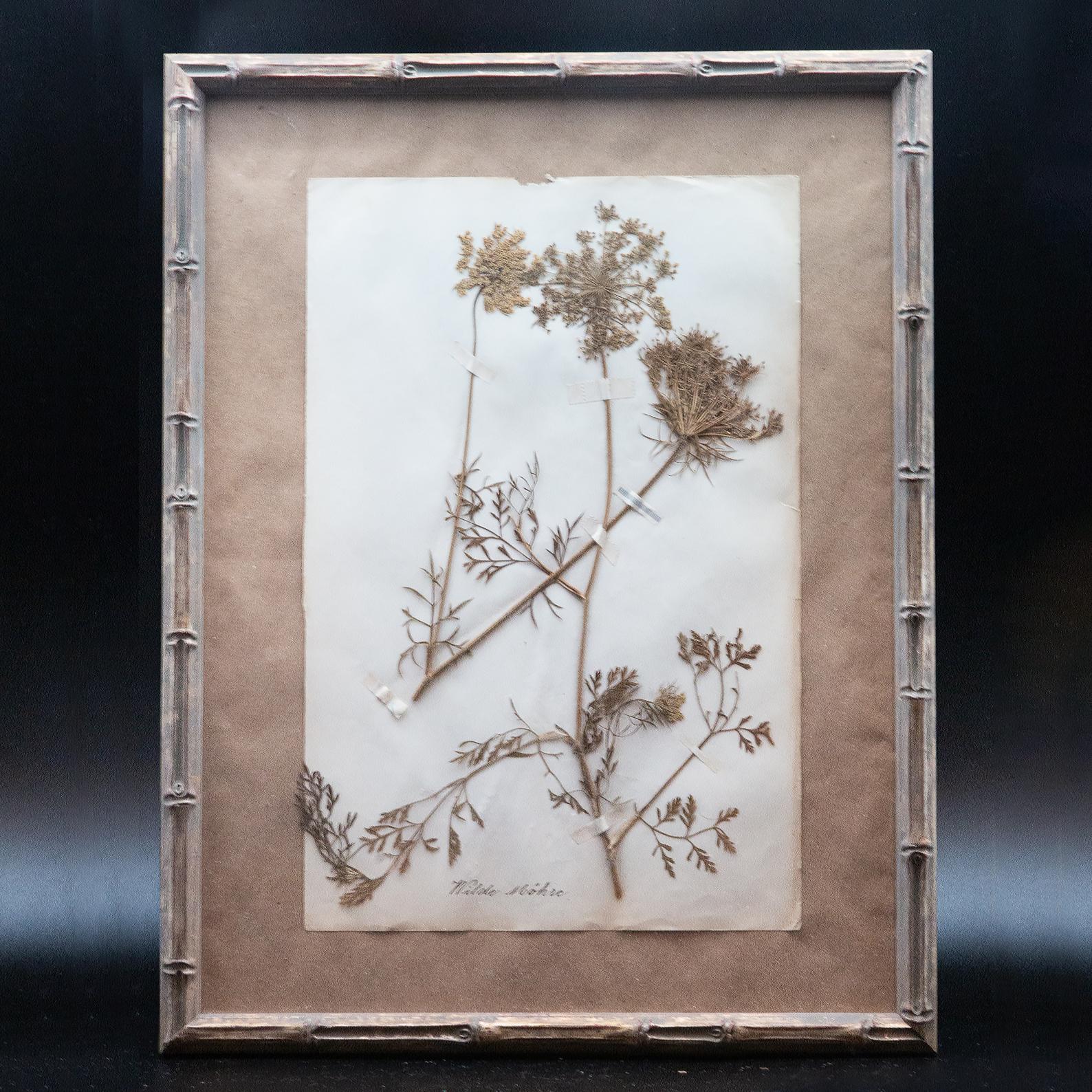 Napoleon III Framed and Pressed French 'Herbier' 