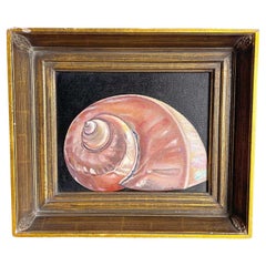 Peinture à l'huile de Nautilus encadrée et signée par Gauna