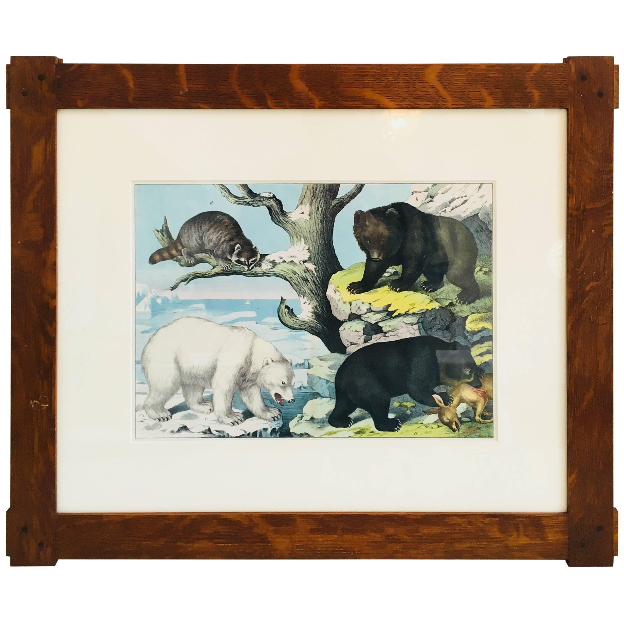 Framed Antique Exotic Animal Print