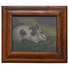 Framed Antique Print of a Rabbit, English, circa 1850