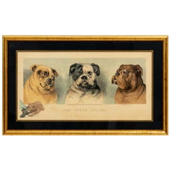 Framed Artwork by L. Darcy