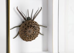 Scultura assemblata di insetti con cornice della collezione di Thierry Despont