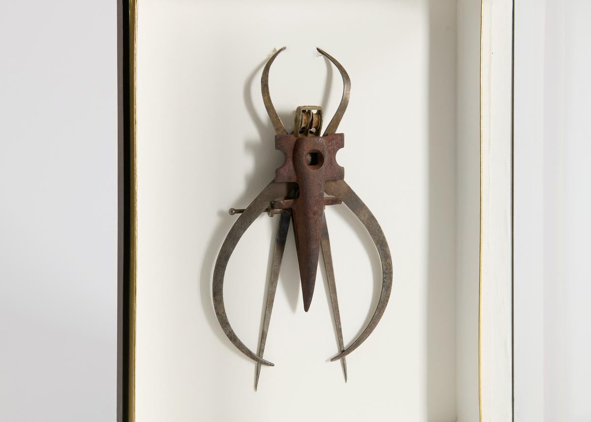 Gerahmte Assemblage-Skulptur mit Insektenmuster (amerikanisch) im Angebot