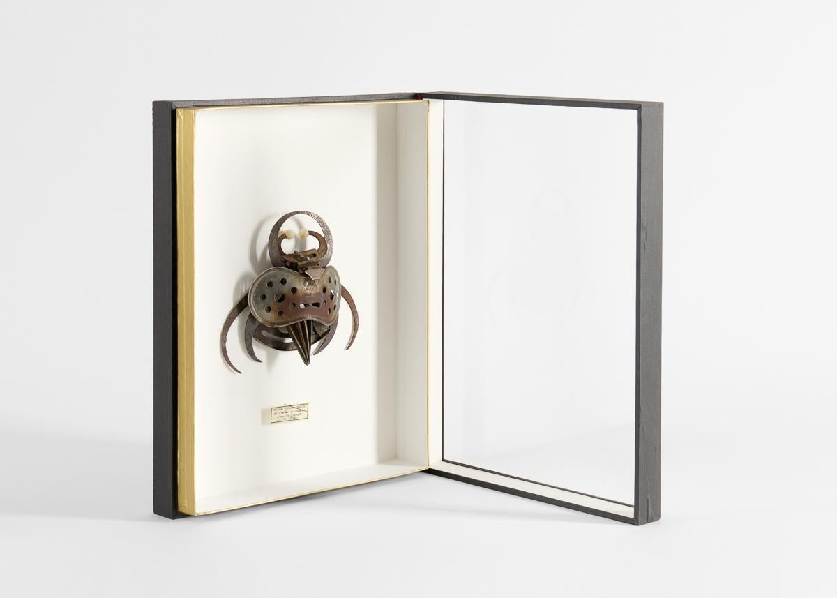 Gerahmte Assemblage-Skulptur mit Insektenmuster (amerikanisch) im Angebot
