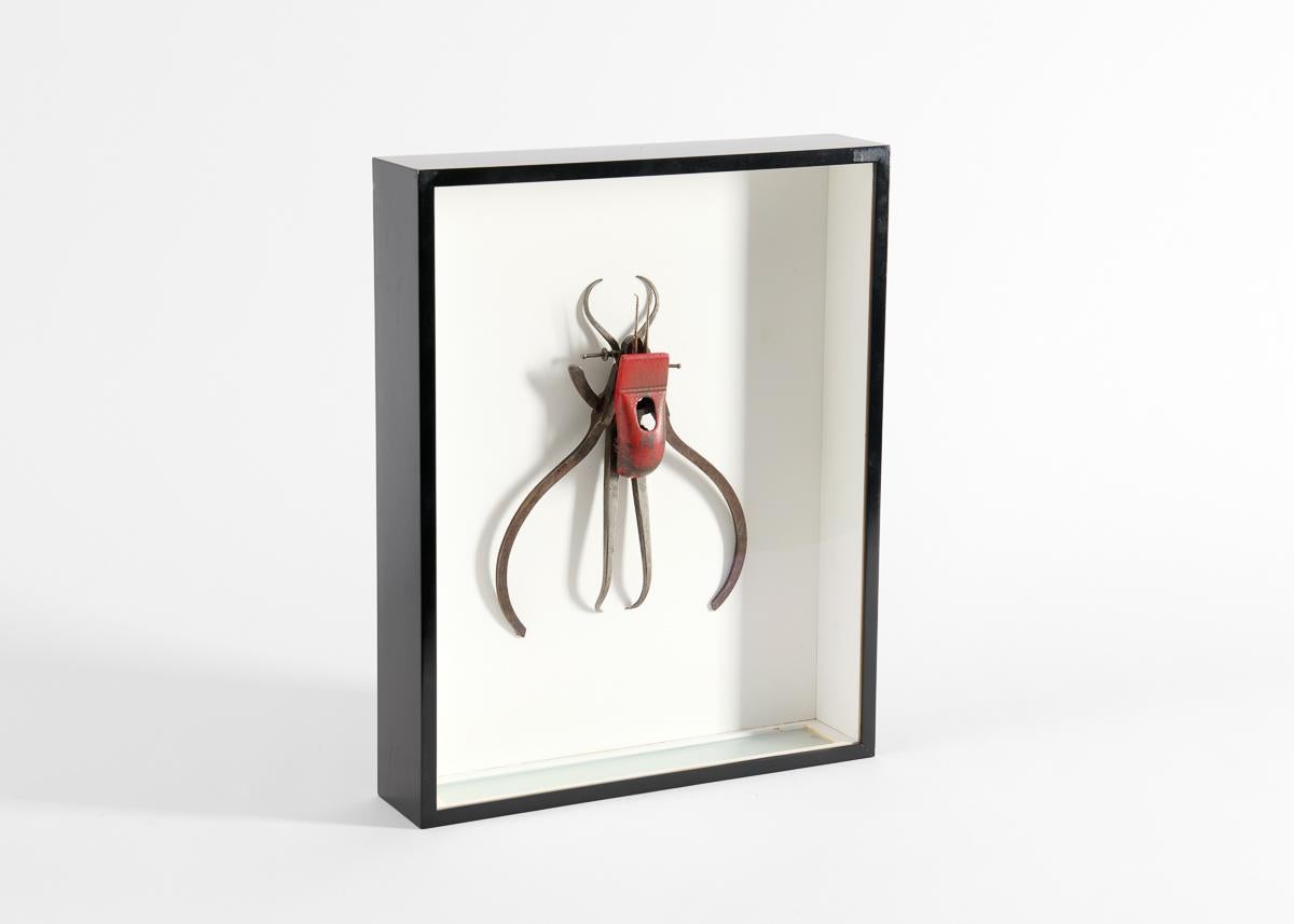 Gerahmte Assemblage-Skulptur mit Insektenmuster (amerikanisch) im Angebot