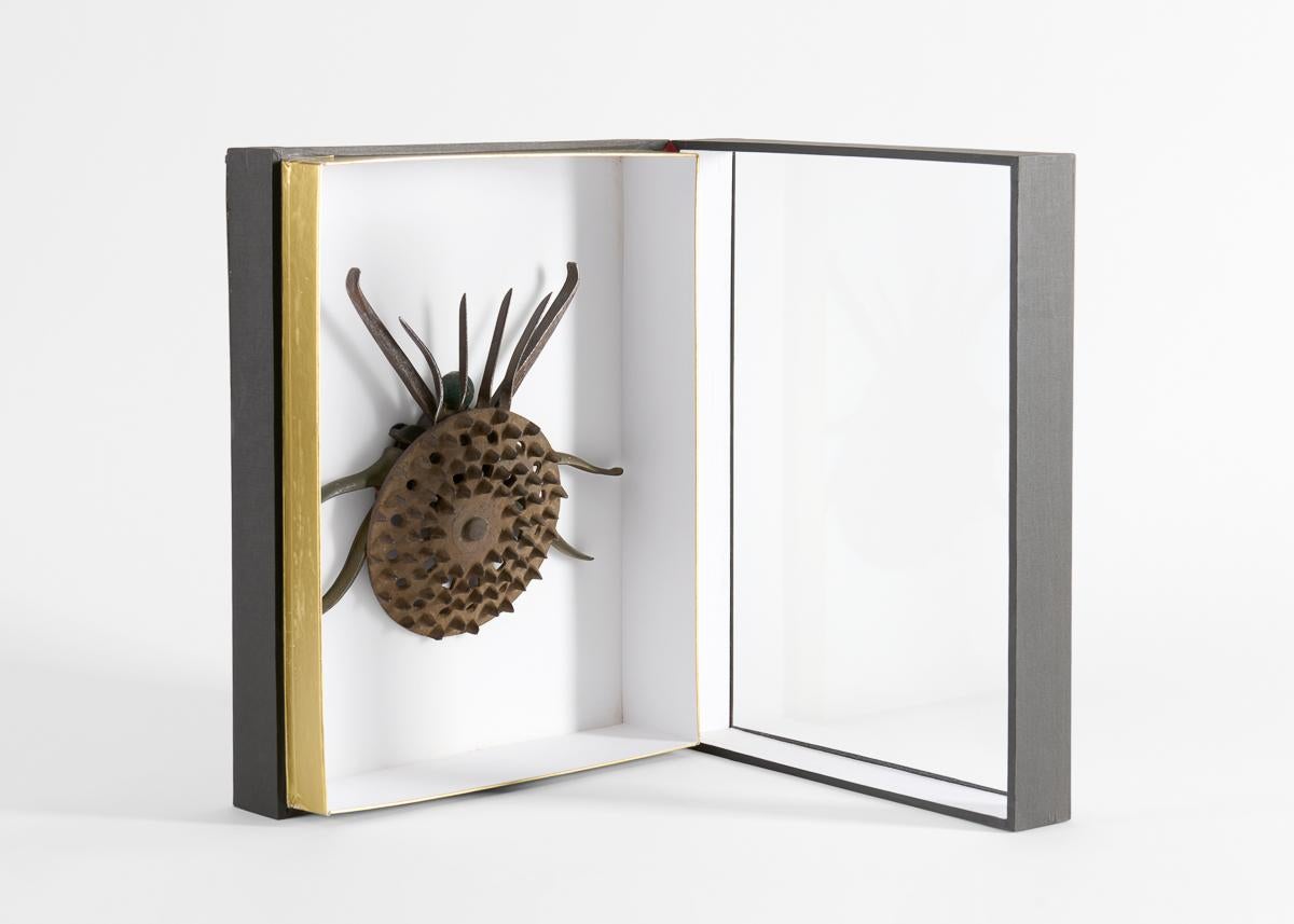 Gerahmte Assemblage-Skulptur mit Insektenmuster (amerikanisch) im Angebot
