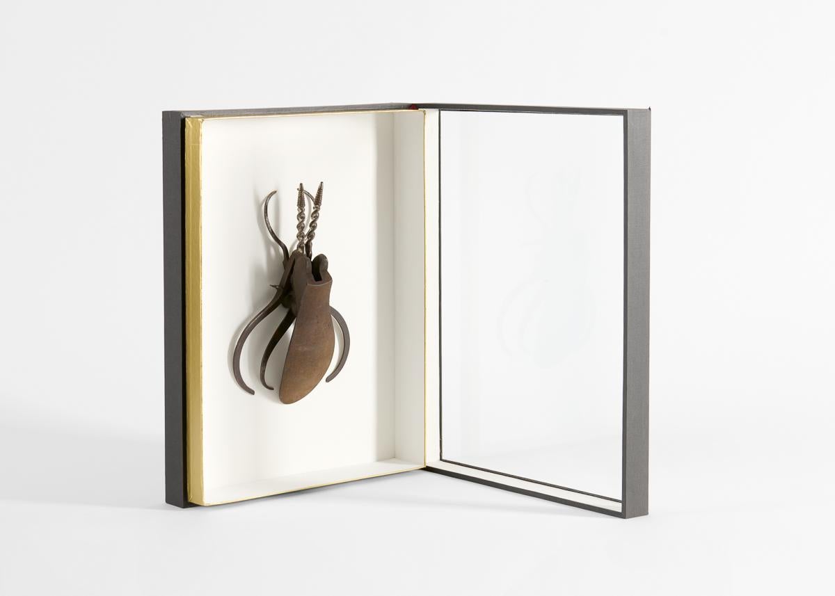 Gerahmte Assemblage-Insekten-Skulptur (amerikanisch) im Angebot