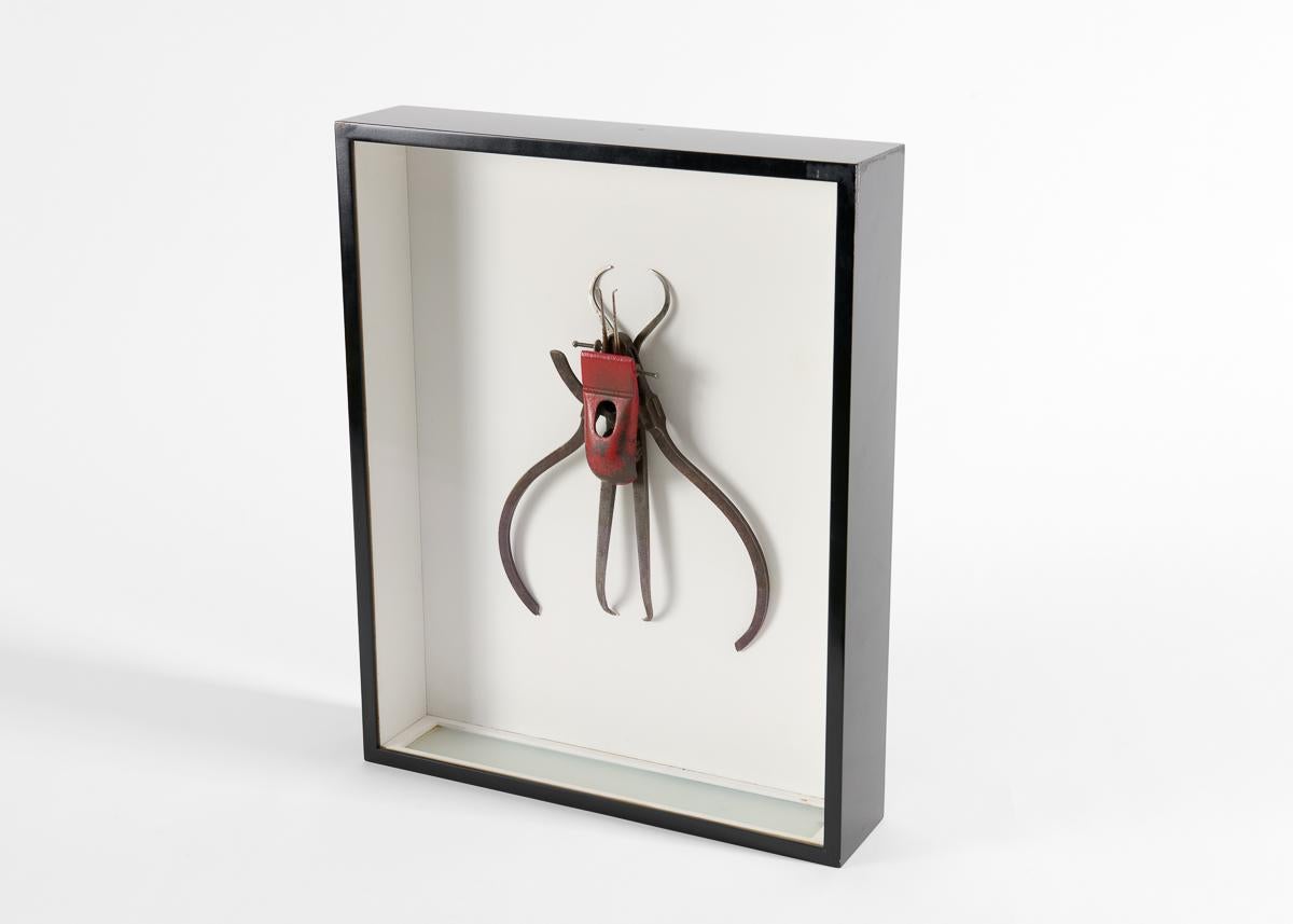 Gerahmte Assemblage-Skulptur mit Insektenmuster im Zustand „Gut“ im Angebot in New York, NY