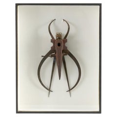 Gerahmte Assemblage-Skulptur mit Insektenmuster