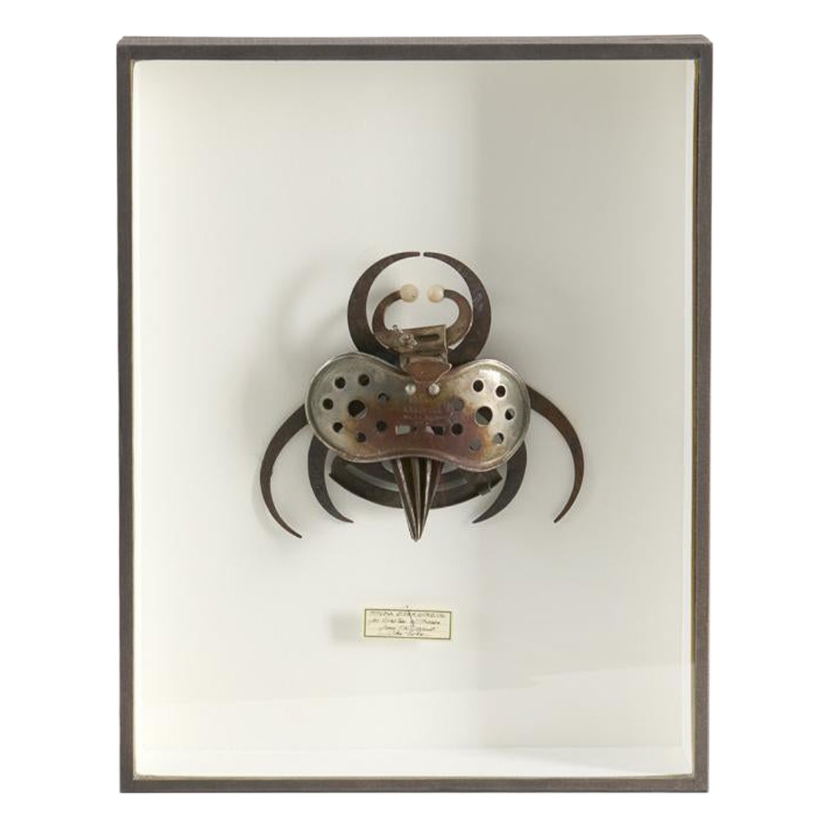 Gerahmte Assemblage-Skulptur mit Insektenmuster