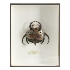 Gerahmte Assemblage-Skulptur mit Insektenmuster