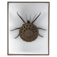 Sculpture d'assemblage encadrée