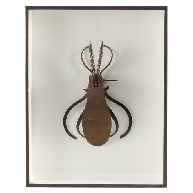 Gerahmte Assemblage-Insekten-Skulptur