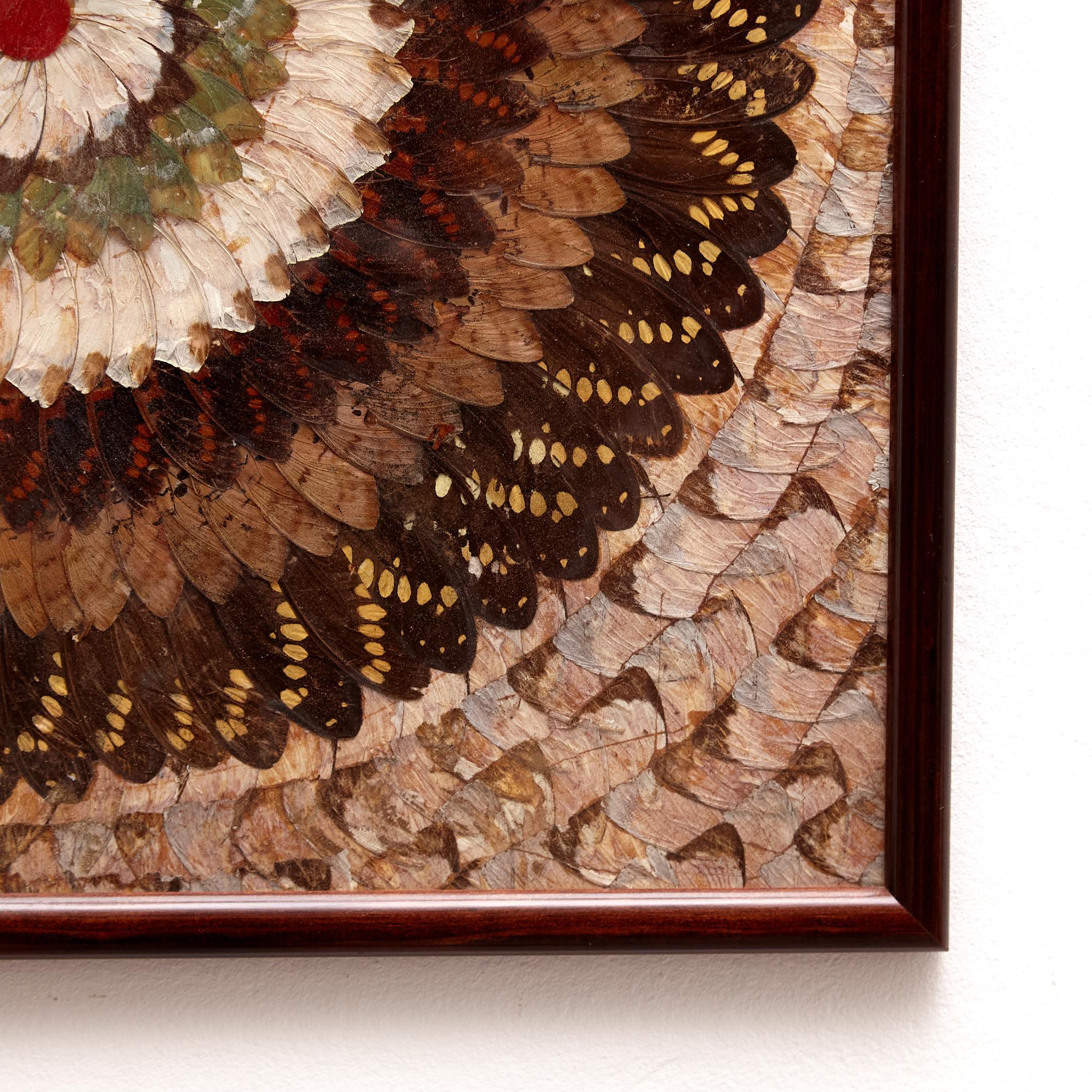 Gerahmte Schöne Schmetterlingsflügel Komposition, um 1930 im Zustand „Gut“ im Angebot in Barcelona, ES