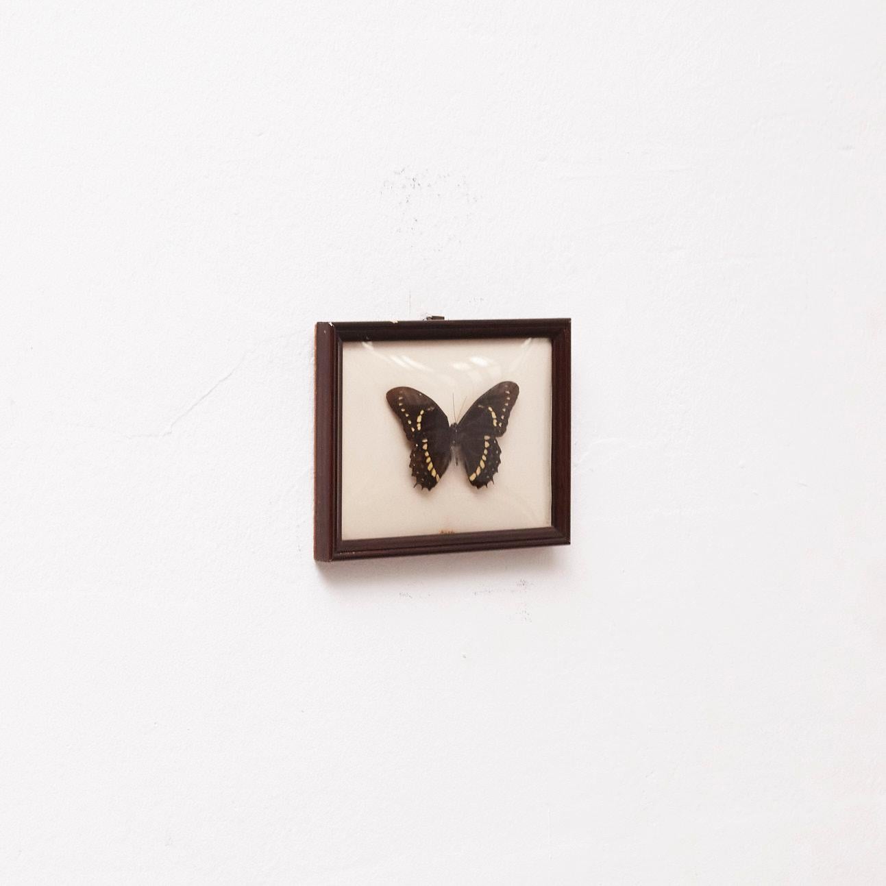 Bella farfalla impagliata incorniciata, circa 1940

Prodotto in Francia, circa 1940.

Materiali:
Wood, policarbonato.

Dimensioni: 
D 2,2 x L 20 cm x H 15 cm

L'opera d'arte è nelle sue condizioni originali e presenta lievi segni di usura, coerenti