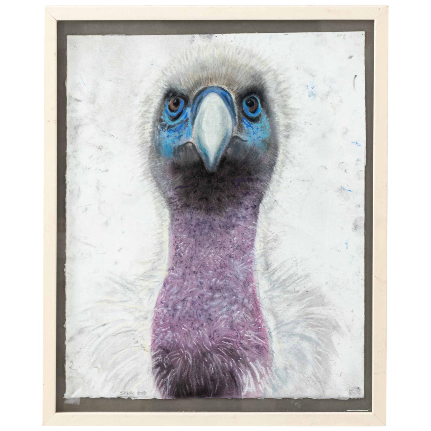 Framed Bird Head Illustration by Marianne Stikas For Sale