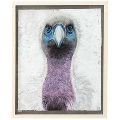 Framed Bird Head Illustration by Marianne Stikas