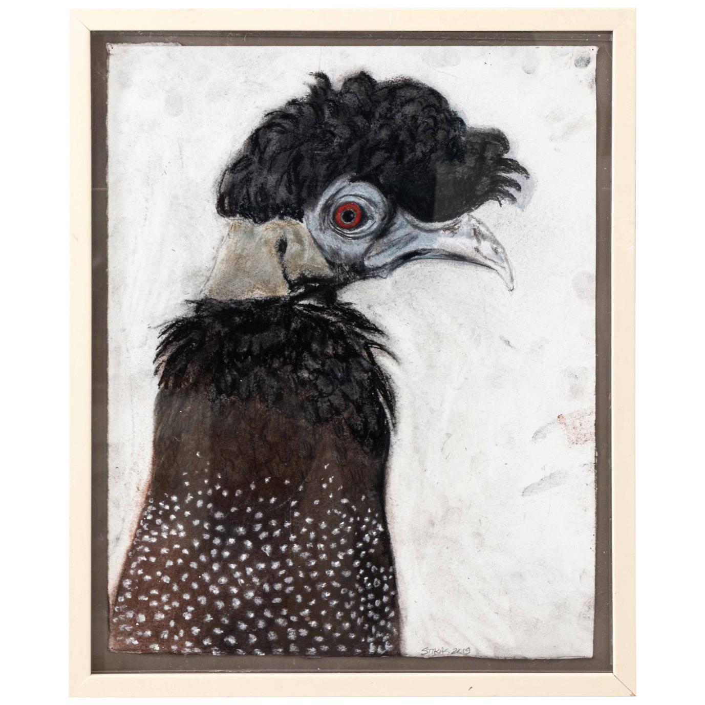 Framed Bird Illustration by Marianne Stikas