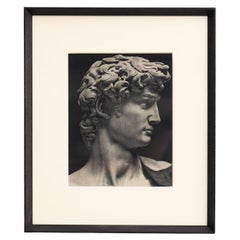 Eliografia in bianco e nero del David di Michelangelo incorniciata - CIRCA 1940