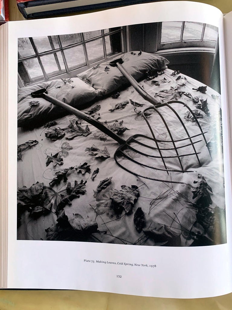 Framed Black and White Photograph Arthur Tress For Sale 3