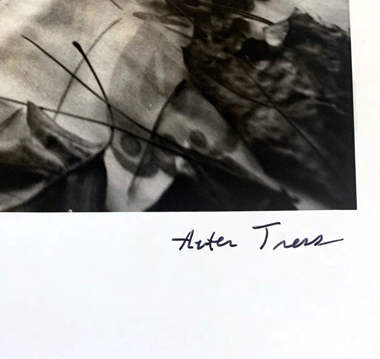 Framed Black and White Photograph Arthur Tress In Good Condition For Sale In Atlanta, GA