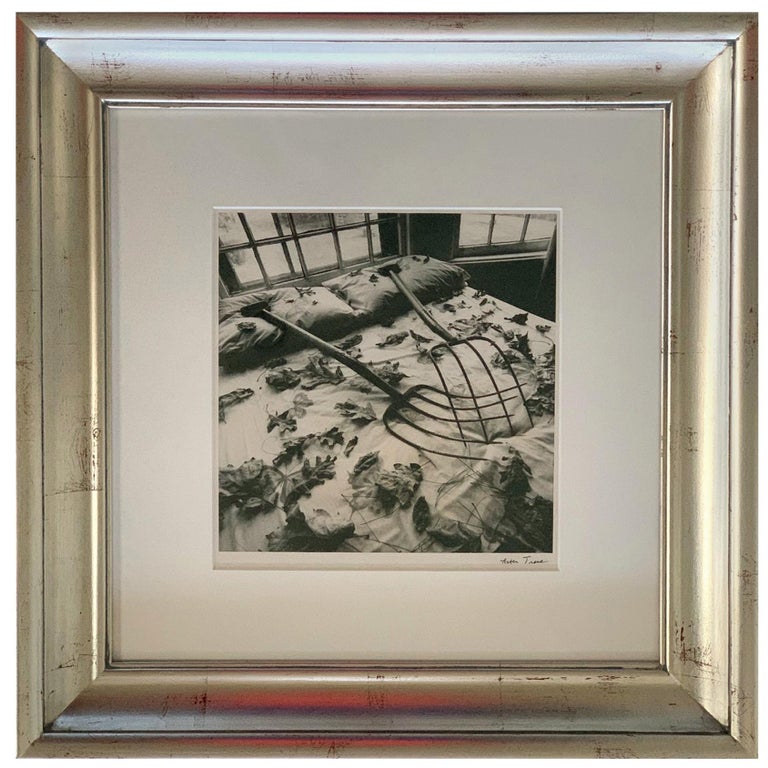 Framed Black and White Photograph Arthur Tress For Sale