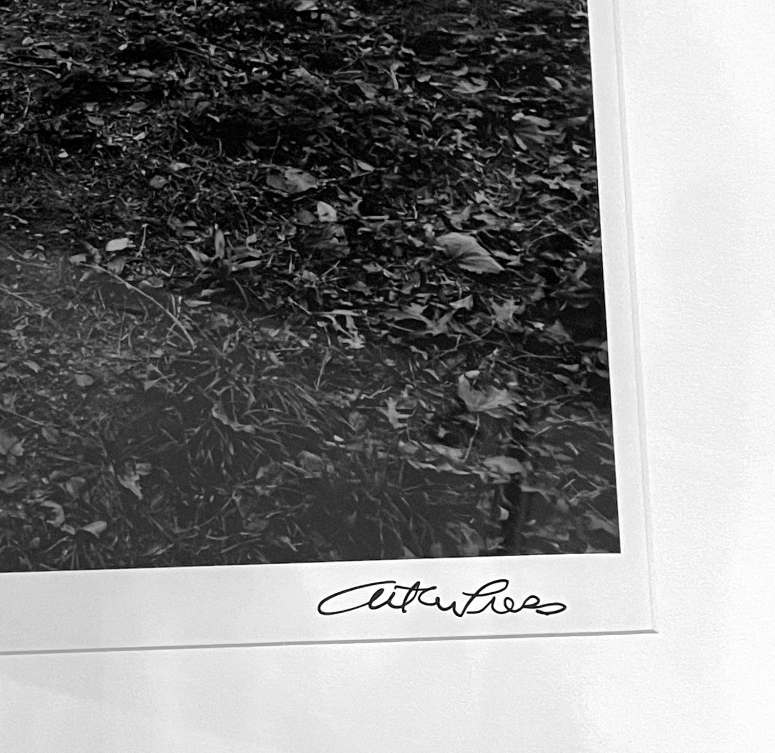 Gerahmte Schwarz-Weiß-Fotografie von Arthur Tress im Zustand „Gut“ im Angebot in Atlanta, GA