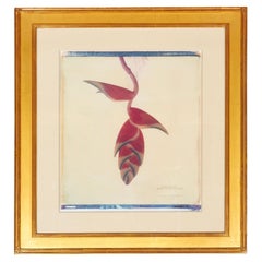 Gerahmter botanischer Druck von Linda L. Broadfoot, gerahmt
