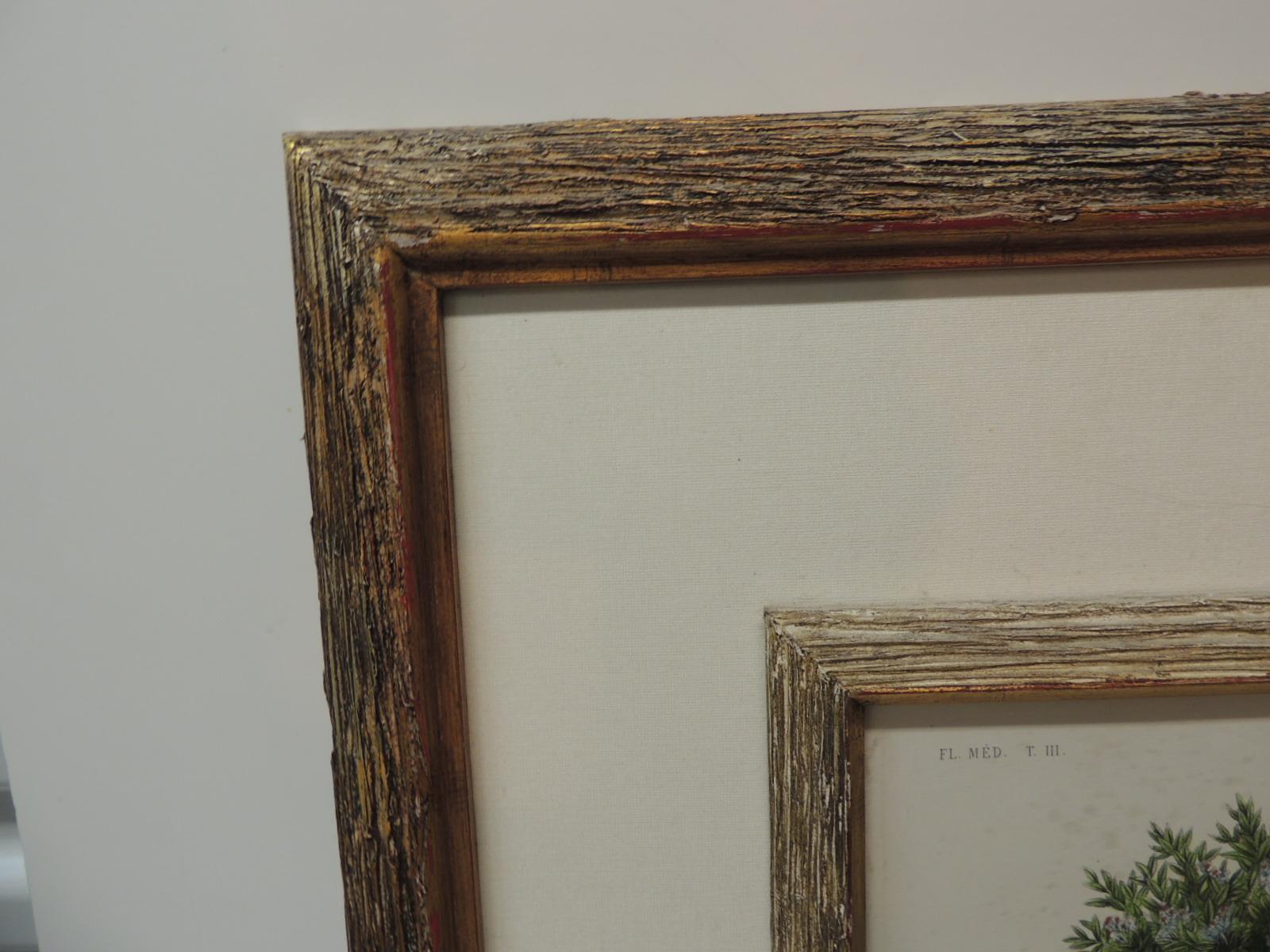 Hand-Crafted Framed Botanical Print in a Wood Bark Style Frame with Gold Leaf Accents