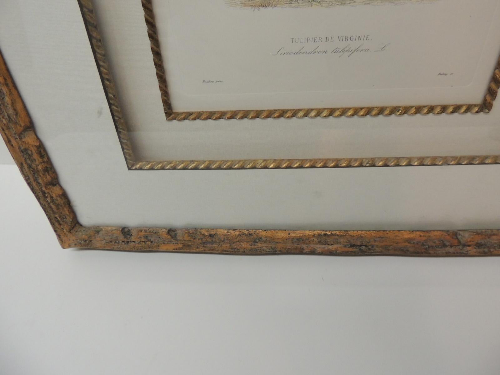 Hand-Crafted Framed Botanical Print in a Wood Bark Style Frame with Gold Leaf Accents