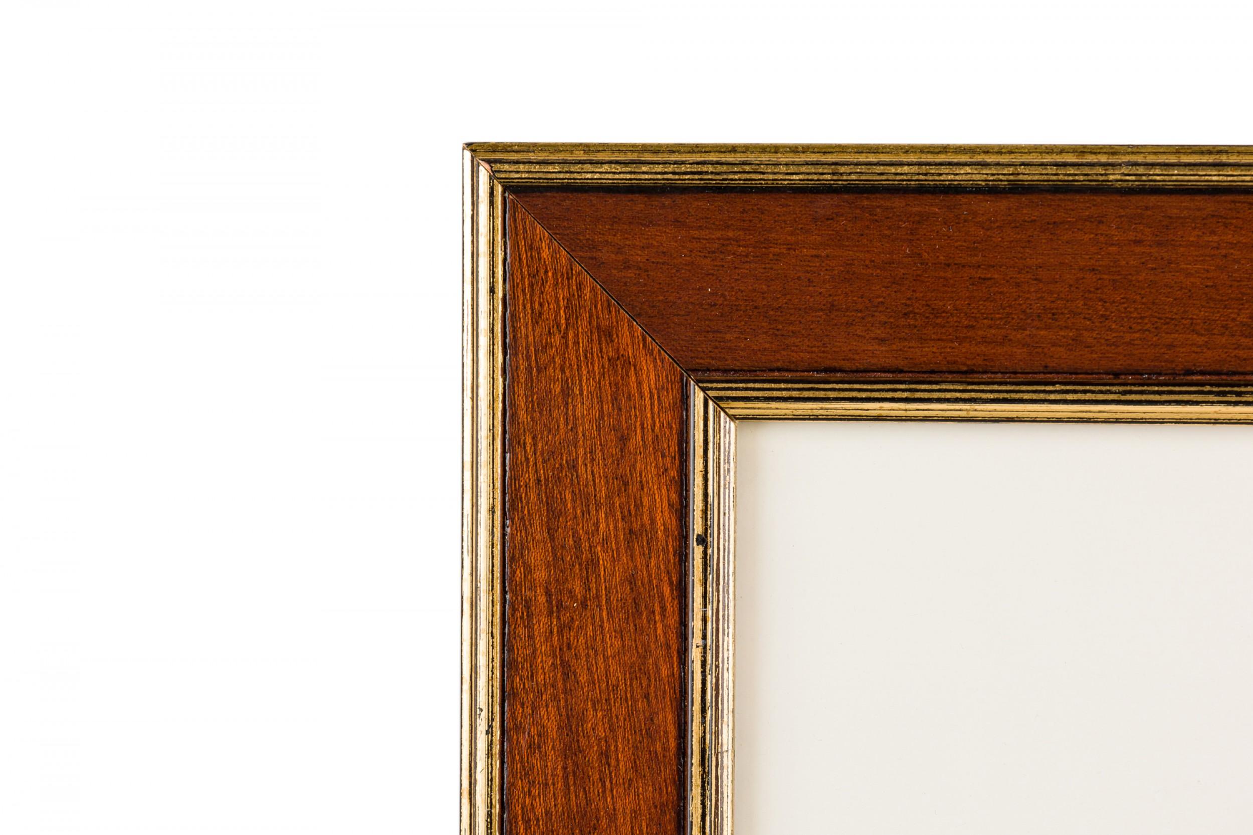 Gerahmter botanischer Druck eines Kupferstichs einer blühenden Aloe Vera Pflanze aus dem 17. im Zustand „Gut“ im Angebot in Queens, NY