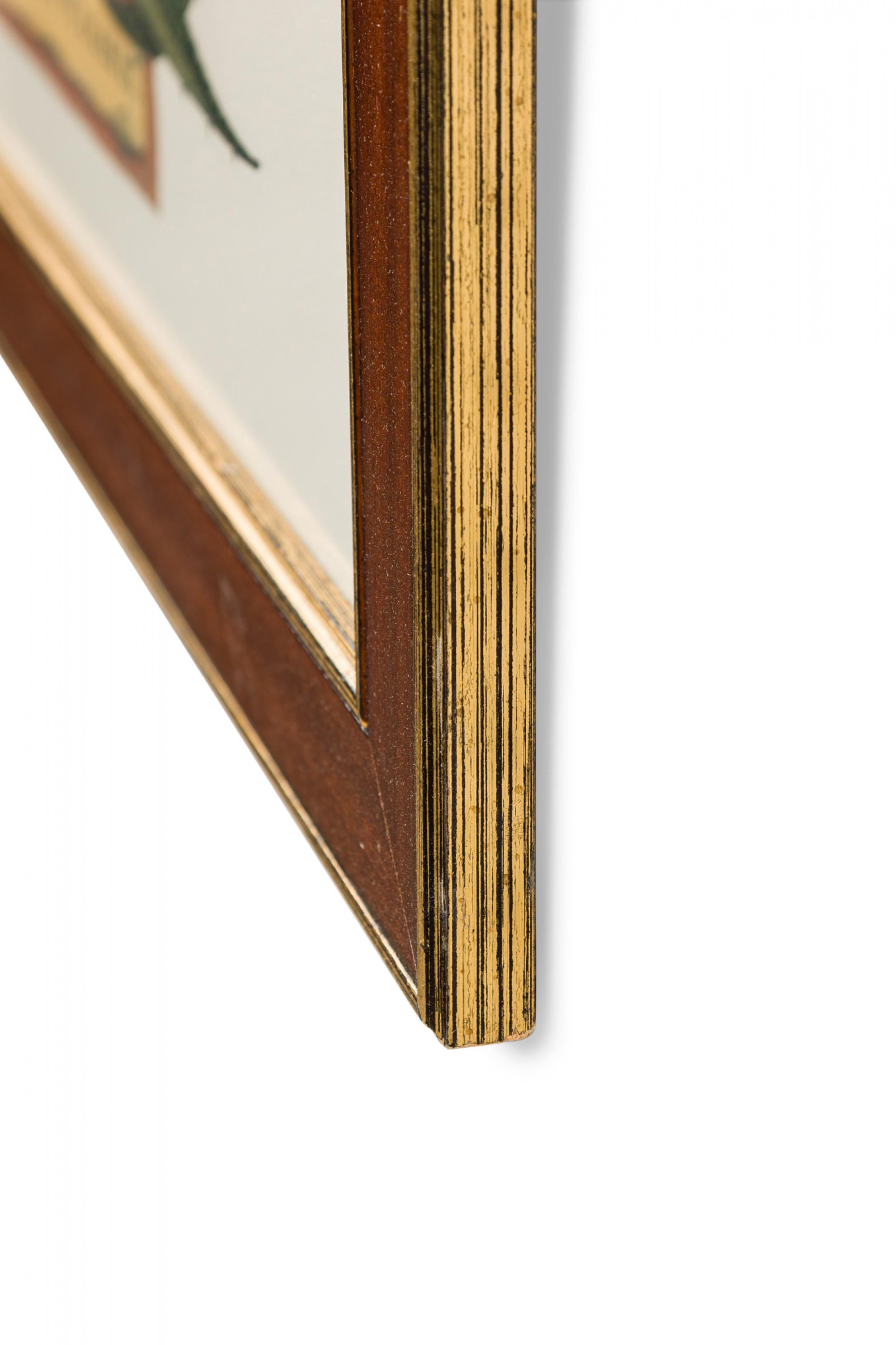 Gerahmter botanischer Druck eines Kupferstichs einer blühenden Aloe Vera Pflanze aus dem 17. (20. Jahrhundert) im Angebot