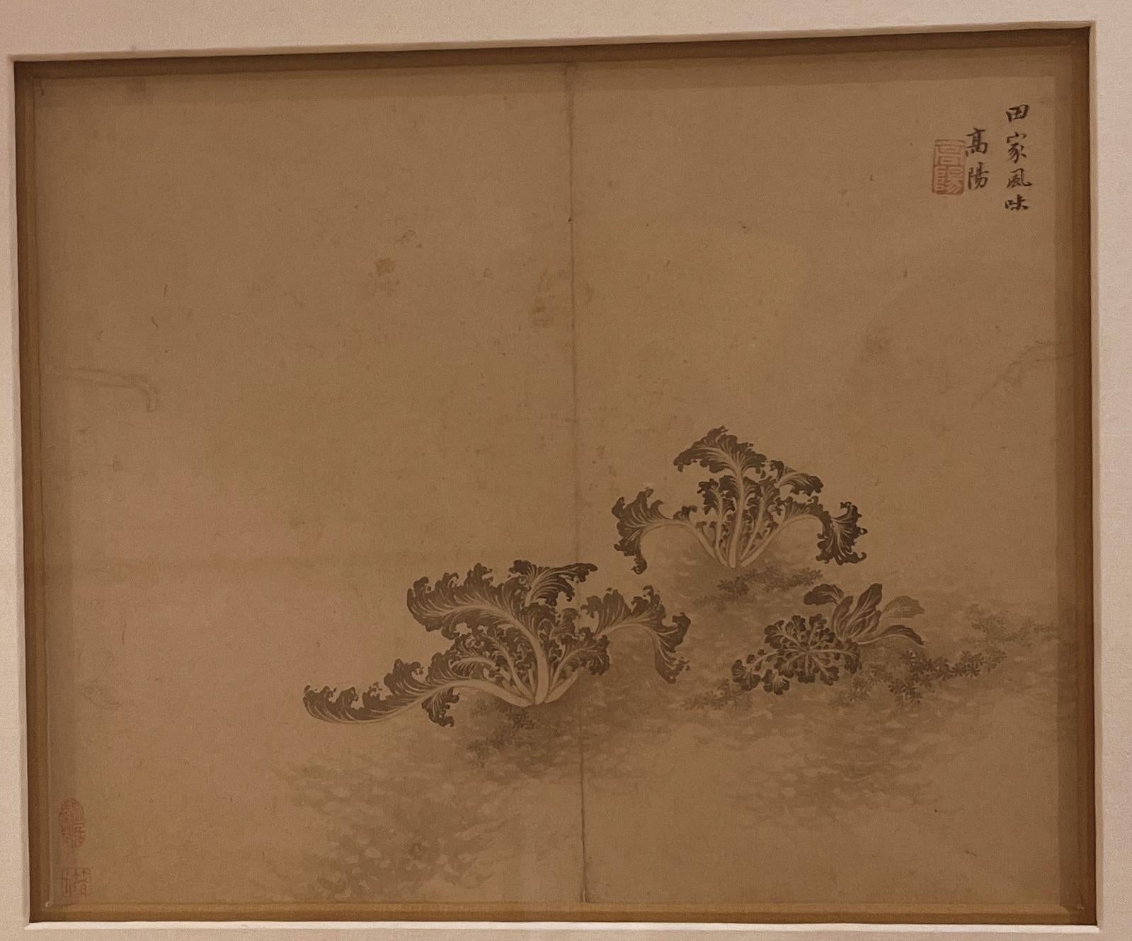 Hand-Painted Framed Chinese Brush Painting of Plants For Sale