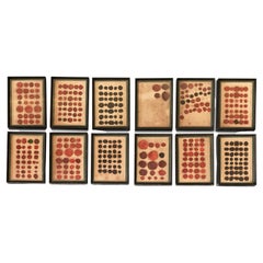 Framed Collection of 19th Century Dutch Wax Seals