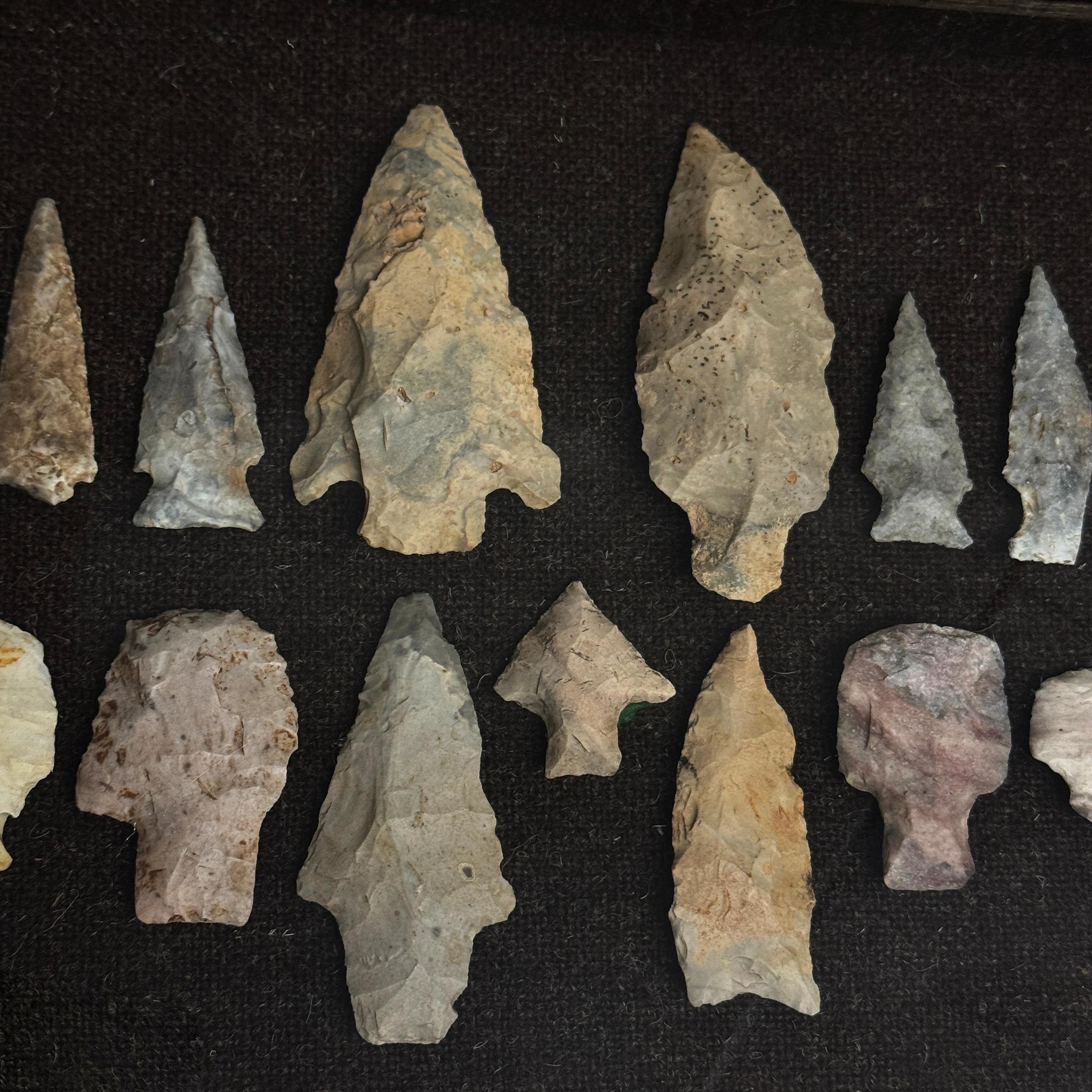 Framed Collection of Thirteen Native American Arrowheads 2
