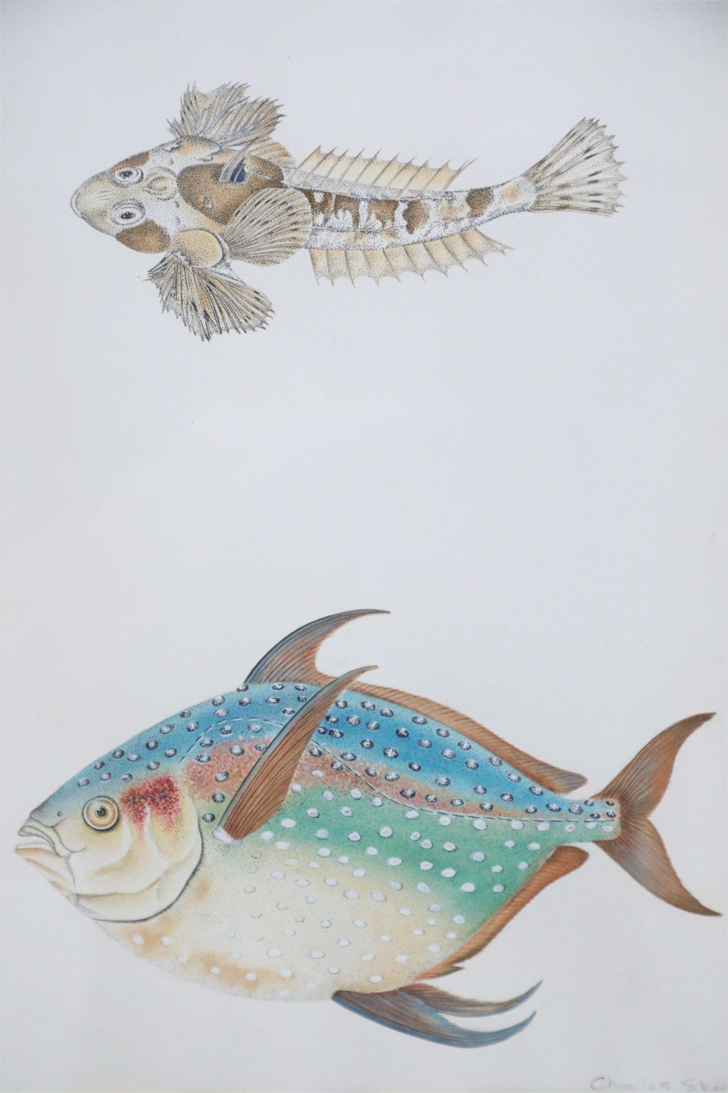 Mid-century lithograph of two tropical fish, one small and brown, one larger and multi-colored in a beige mat with gold bevel and a rectangular giltwood frame. (signed, Charles Skora, #9).