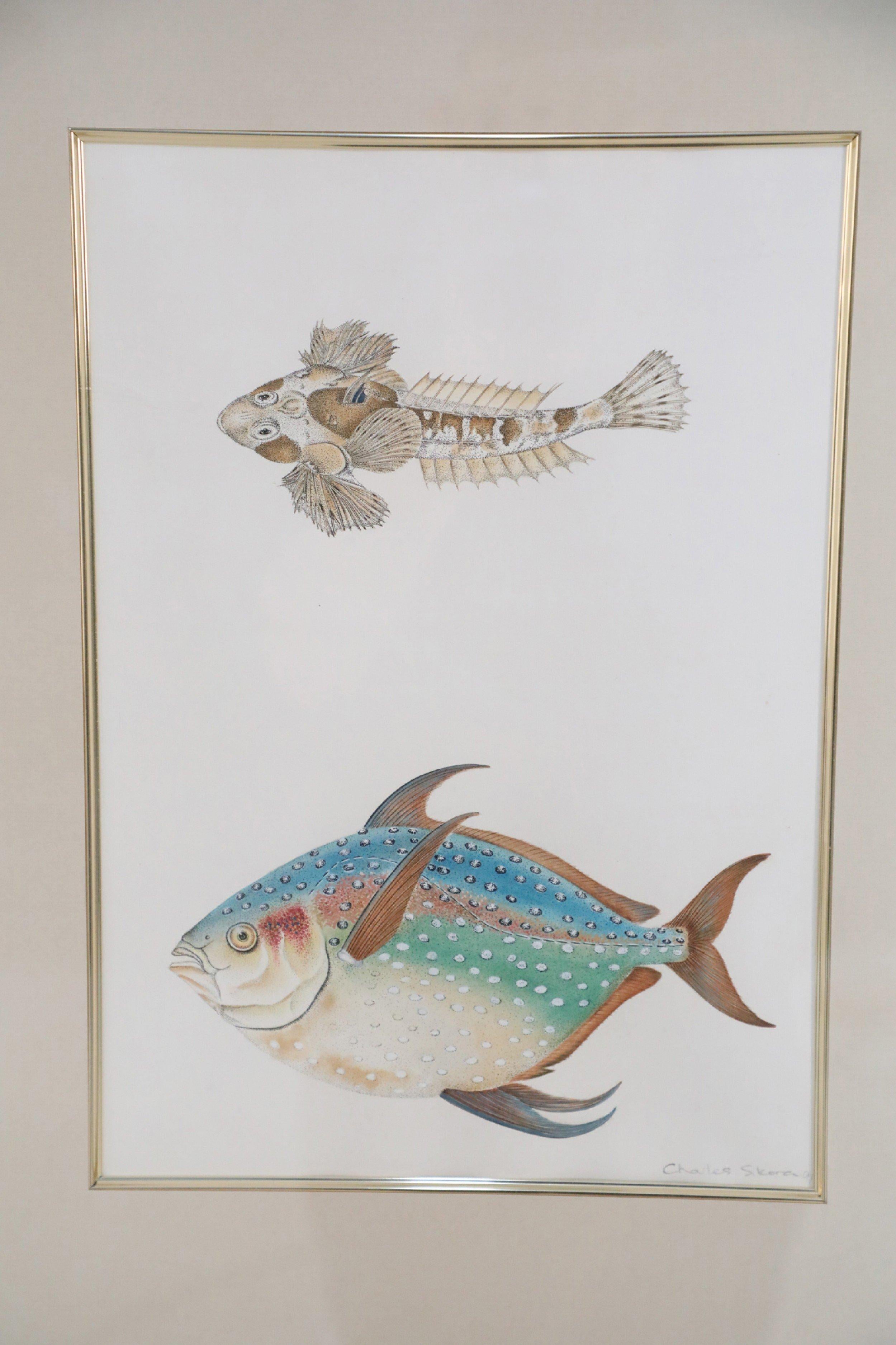 Framed Color Lithograph of Brown and Multi-Colored Tropical Fish For Sale 1