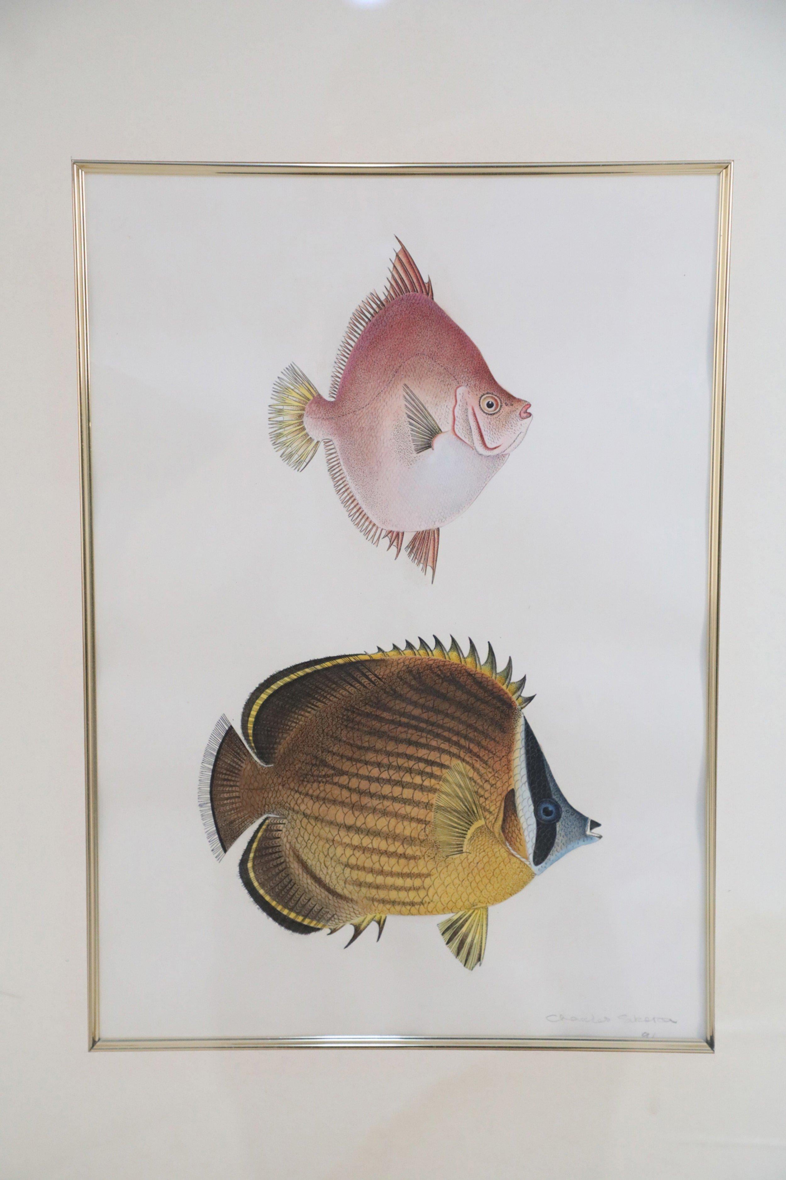 American Framed Color Lithograph of Brown and Pink Tropical Fish For Sale
