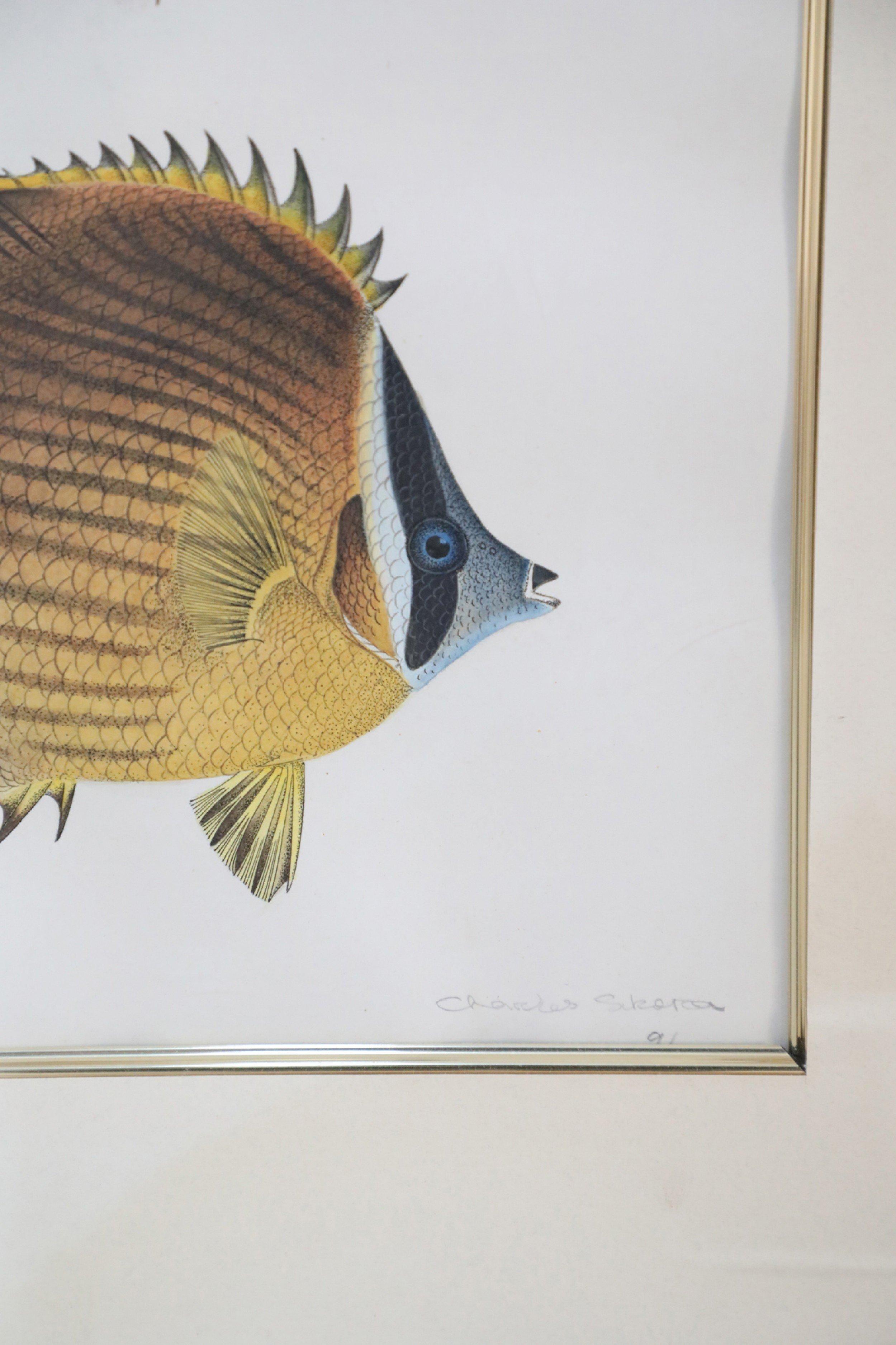Framed Color Lithograph of Brown and Pink Tropical Fish For Sale 2