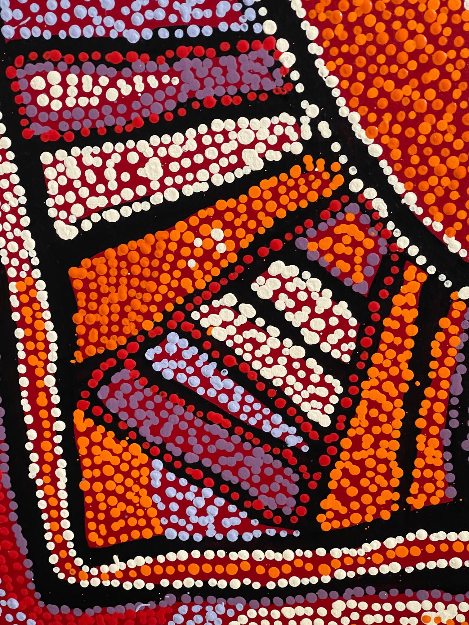 Framed Contemporary Australian Aboriginal Painting by Naata Nungurrayi 2