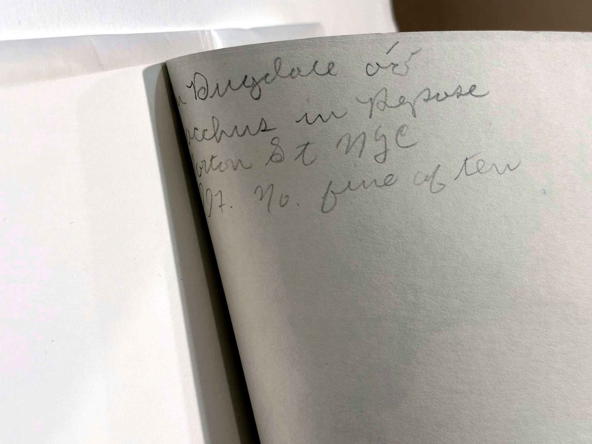 Gerahmte Cyanotyp-Fotografie von John Patrick Dugdale (Ende des 20. Jahrhunderts) im Angebot