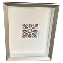 Framed "Cypraea Prism” Shells by Christopher Marley
