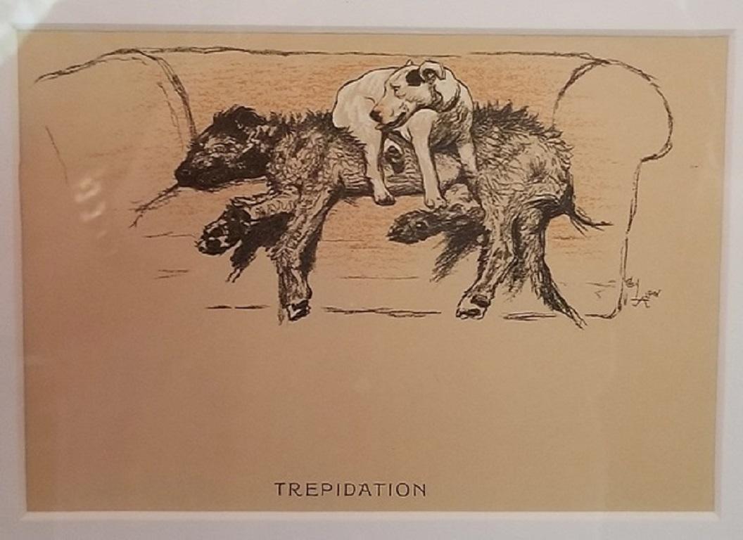 Framed Dog Prints by Cecil Aldin 3