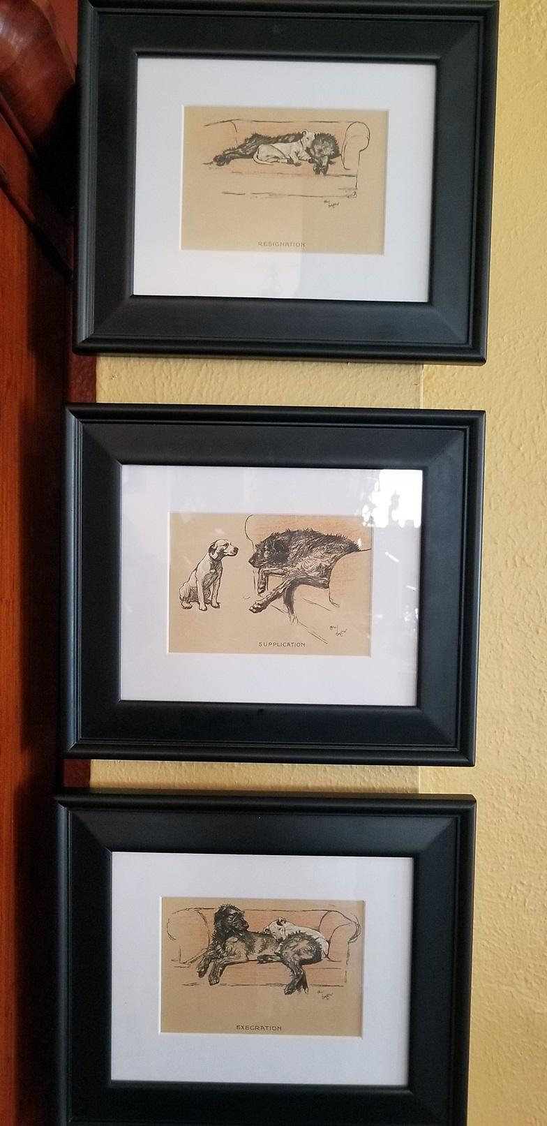 Framed Dog Prints by Cecil Aldin 4