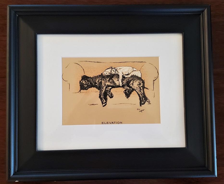 Framed Dog Prints by Cecil Aldin 9