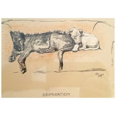 Framed Dog Prints by Cecil Aldin