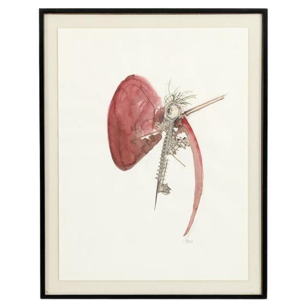 Framed Drawing of an Insect from the collection of Thierry Despont