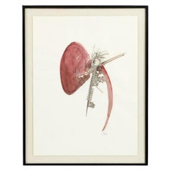Dessins - Papier