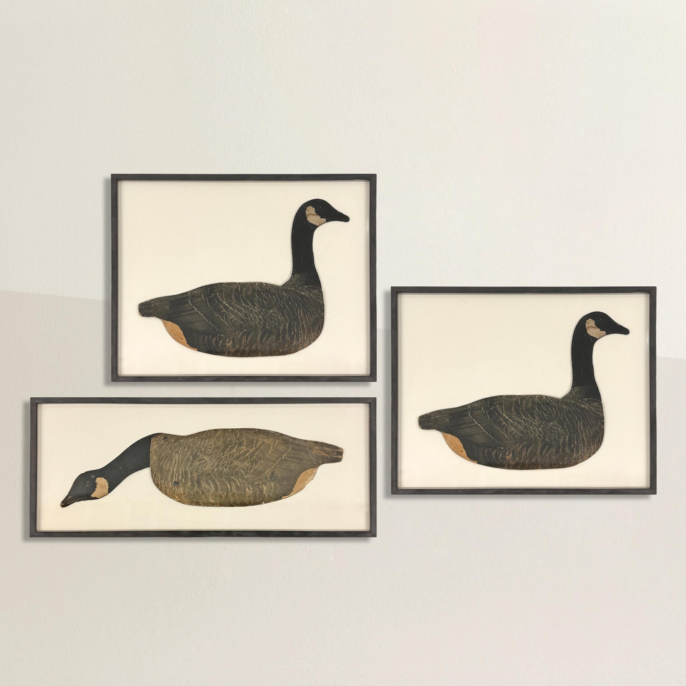 Gerahmter amerikanischer Canada Goose-Köder aus dem frühen 20. (Land) im Angebot